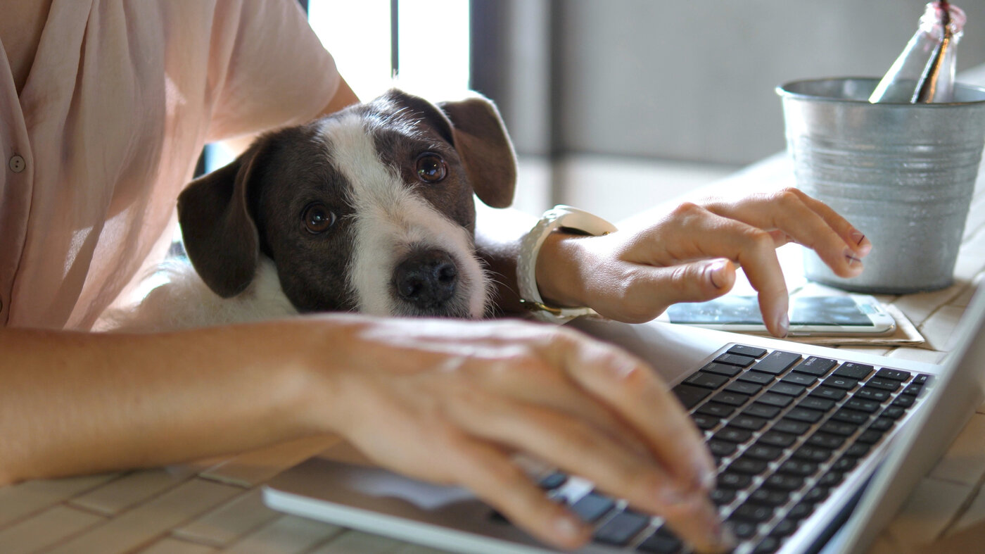 Flexible Working